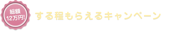 総額12万円! する程もらえるキャンペーン すればする程「どんどんお給料があがる」キャンペーン開始! 4月1日開始!!