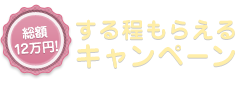 総額12万円！ する程もらえるキャンペーン すればする程どんどんお給料があがります！