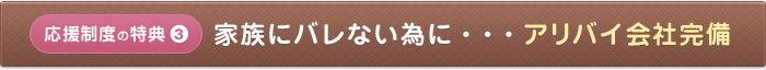 応援制度の特典 家族にバレない為に・・・アリバイ会社完備