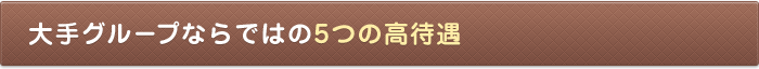 大手グループならではの5つの高待遇