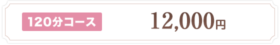 120分コース 12,000円